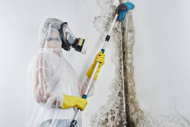 Best Industrial Mold Remediation  in Garden Acres, CA